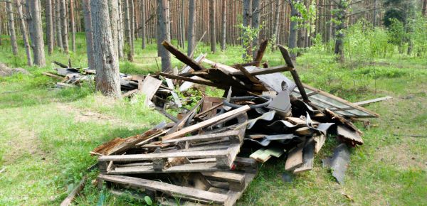 Debris Removal Service in Milford