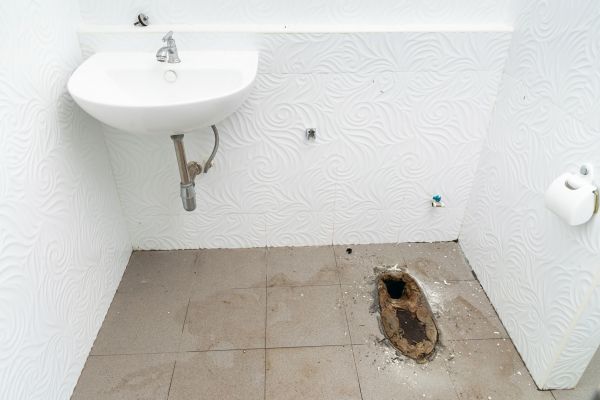 Toilet Disposal in Milford